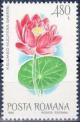 Colnect-741-345-Indian-Lotus-Nelumbo-nucifera.jpg