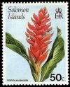 Colnect-2204-210-Alpinia-purpurata.jpg