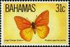 Colnect-2562-226-Orange-Giant-Sulphur-Phoebis-agarithe-antilla.jpg