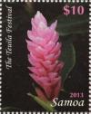 Colnect-3617-229-Alpinia-purpurata.jpg