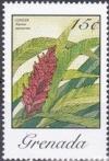 Colnect-4049-551-Alpinia-Purpurata.jpg