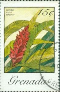 Colnect-2411-198-Alpinia-Purpurata.jpg