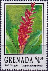 Colnect-3957-588-Alpinia-purpurata.jpg