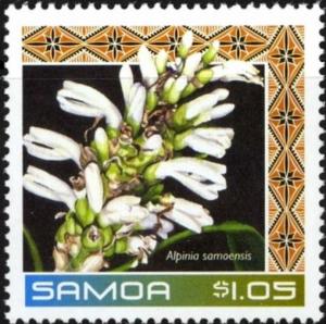 Colnect-3939-829-Alpinia-samoensis.jpg