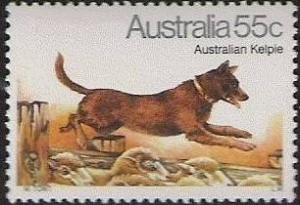 Colnect-477-701-Australian-Kelpie-Canis-lupus-familiaris.jpg