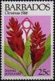 Colnect-1109-955-Alpinia-purpurata.jpg