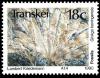 Colnect-3993-738-Fossils-Ginkgo-koningensis.jpg