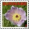 Colnect-4044-274-Pulsatilla-vernalis.jpg