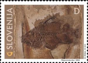 Colnect-705-800-Fossils---Oligocene-Fish-.jpg