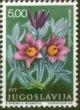 Colnect-700-466-Pulsatilla-vulgaris.jpg