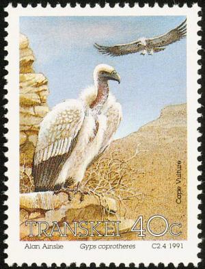 Colnect-1456-724-Cape-Vulture-Gyps-coprotheres.jpg