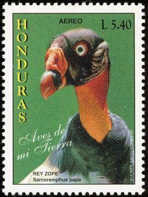 Colnect-1552-224-King-Vulture-Sarcoramphus-papa.jpg