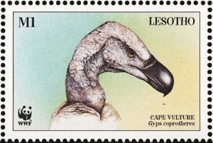 Colnect-1725-588-Cape-Vulture-Gyps-coprotheres.jpg