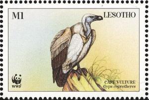 Colnect-1725-591-Cape-Vulture-Gyps-coprotheres.jpg