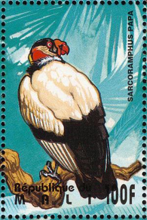 Colnect-2376-011-King-Vulture-Sarcoramphus-papa.jpg