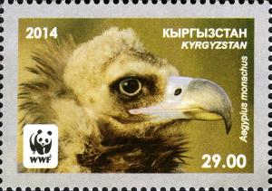 Colnect-3073-822-Black-Vulture-Aegypius-monachus-.jpg