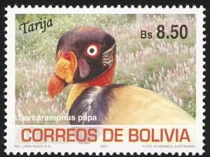 Colnect-5225-708-King-Vulture-Sarcoramphus-papa.jpg