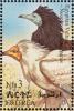 Colnect-1744-751-Egyptian-Vulture-Neophron-percnopterus.jpg