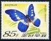 Colnect-1022-471-Rhetenor-Blue-Morpho-Morpho-rhetenor.jpg