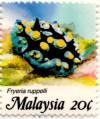 Colnect-2026-193-Wart-Slug-Fryeria-rueppellii.jpg