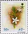 Colnect-3576-590-Plumbago-zeylanica.jpg