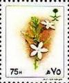 Colnect-3579-476-Plumbago-zeylanica.jpg