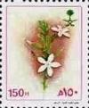 Colnect-3582-165-Plumbago-zeylanica.jpg