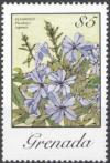 Colnect-4049-934-Plumbago-Capensis.jpg