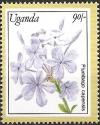 Colnect-5627-190-Plumbago-Capensis.jpg