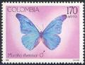 Colnect-2150-659-Rhetenor-Blue-Morpho-Morpho-rhetenor.jpg