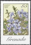 Colnect-4049-934-Plumbago-Capensis.jpg