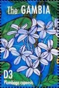 Colnect-4698-169-Plumbago-capensis.jpg