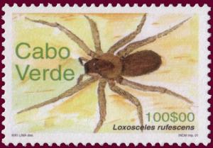 Colnect-1750-168-Mediterranean-Recluse-Spider-Loxosceles-rufescens.jpg