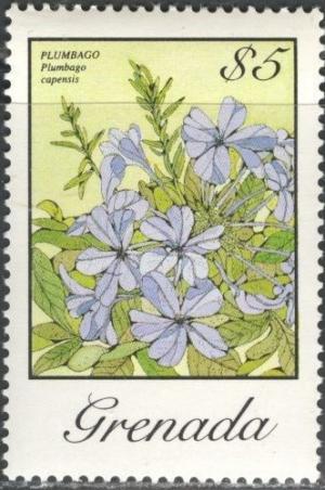 Colnect-2208-535-Plumbago-Capensis.jpg