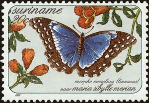 Colnect-4994-849-Menelaus-Blue-Morpho-Morpho-menelaus.jpg