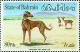 Colnect-1462-913-Saluki-Canis-lupus-familiaris-and-Gazelles.jpg