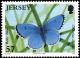 Colnect-5154-161-Holly-Blue-Celastrina-argiolus.jpg