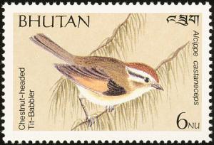 Colnect-1720-385-Rufous-winged-Fulvetta-nbsp-Alcippe-castaneceps.jpg