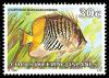 Colnect-1103-431-Madagascar-Butterflyfish-Chaetodon-madagascariensis.jpg