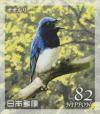 Colnect-6224-045-Blue-and-white-Flycatcher-Cyanoptila-cyanomelana.jpg