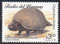 Colnect-1391-394-Glyptodon-claripes.jpg