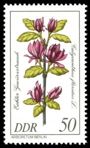 Colnect-1981-081-Calycanthus-floridus.jpg