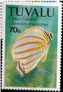 Colnect-4955-512-Ornate-Butterflyfish-Chaetodon-ornatissimus.jpg