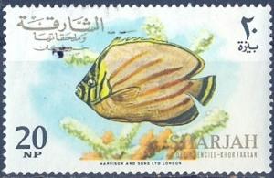 Colnect-2384-445-Ornate-Butterflyfish-Chaetodon-ornatissimus.jpg