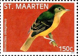 Colnect-2624-043-Ochre-bellied-Flycatcher-Mionectes-oleagineus.jpg