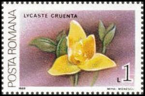 Colnect-3197-918-Lycaste-cruenta.jpg