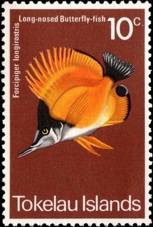 Colnect-4596-257-Longnose-Butterflyfish-Forcipiger-longirostris-.jpg