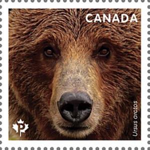 Colnect-5933-865-Grizzly-Bear-Ursus-Arctos.jpg