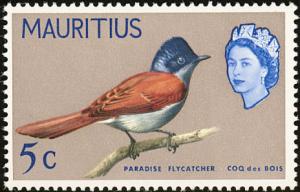 Colnect-734-476-Mascarene-Paradise-Flycatcher-Terpsiphone-bourbonnensis.jpg