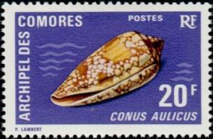 Colnect-787-758-Princely-Cone-Conus-aulicus.jpg